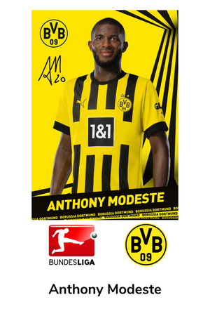 Borussia Dortmund Anthony Modeste Fußball Bundesliga Sport